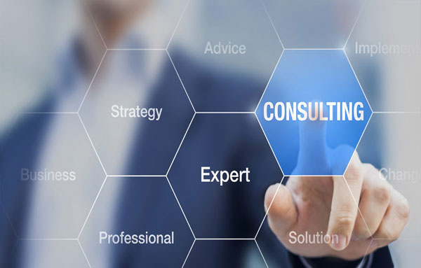 Management Consulting